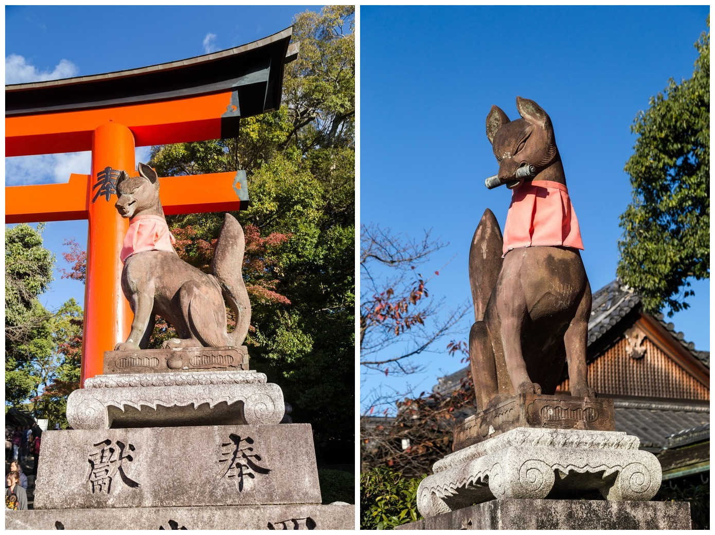 京都自助遊攻略