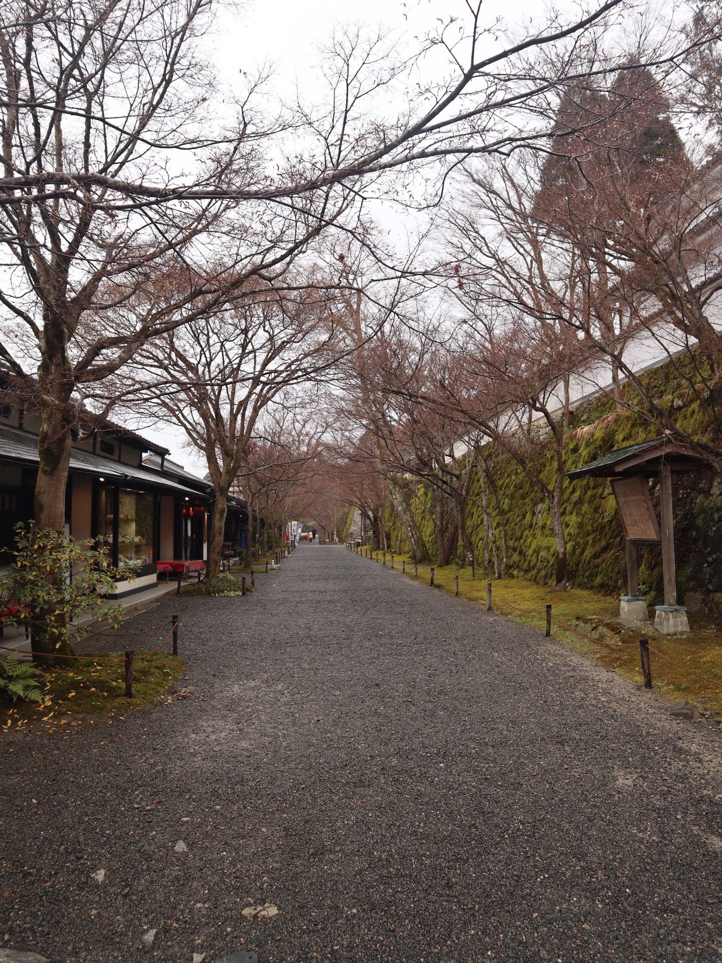 京都自助遊攻略