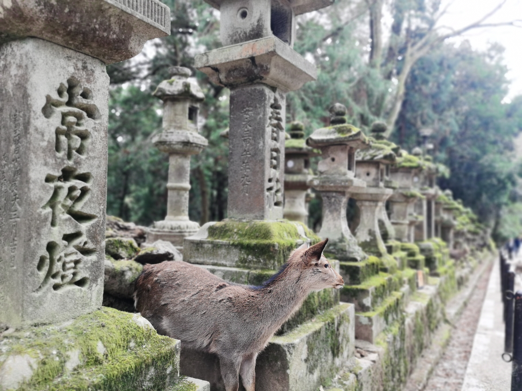 大阪自助遊攻略