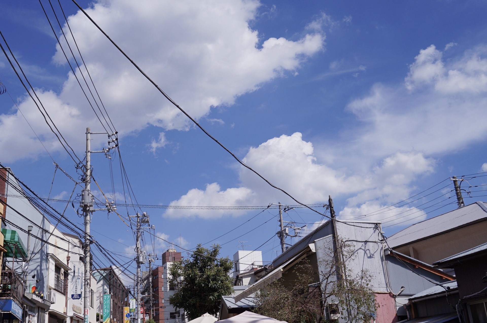 東京自助遊攻略