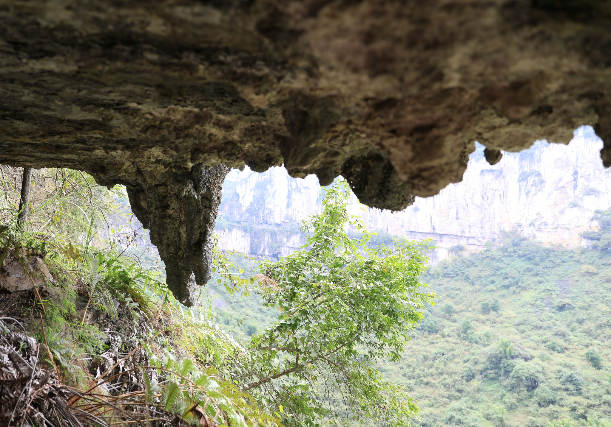 赤水川黔古盐道文化之旅续五宜宾兴文僰人悬棺