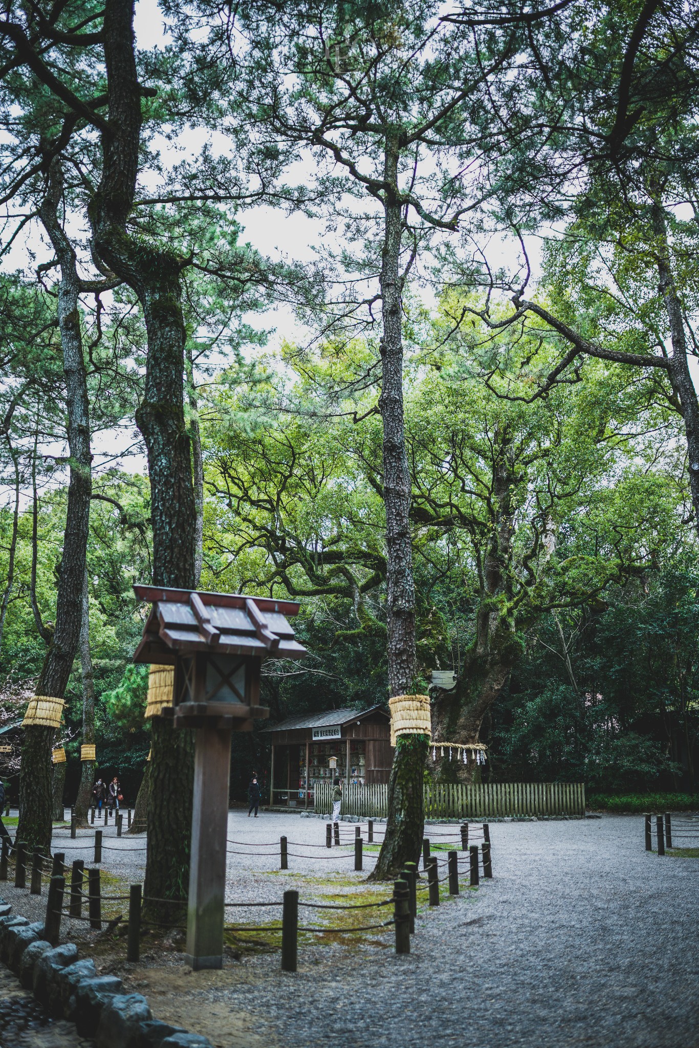 名古屋自助遊攻略