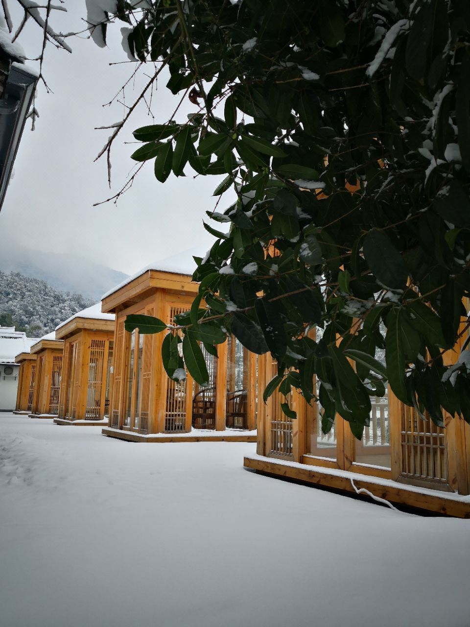 杭州启杏堂农家乐 Hangzhou qixingtang farmhouse