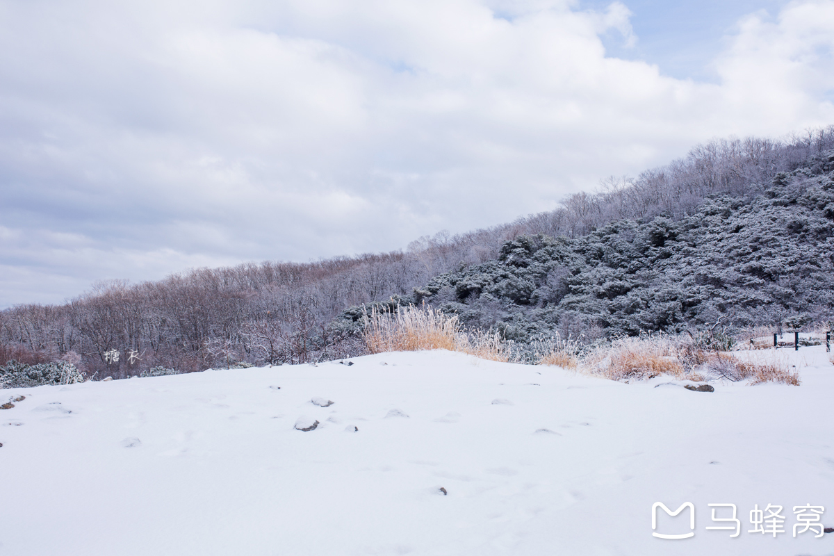 北海道自助遊攻略