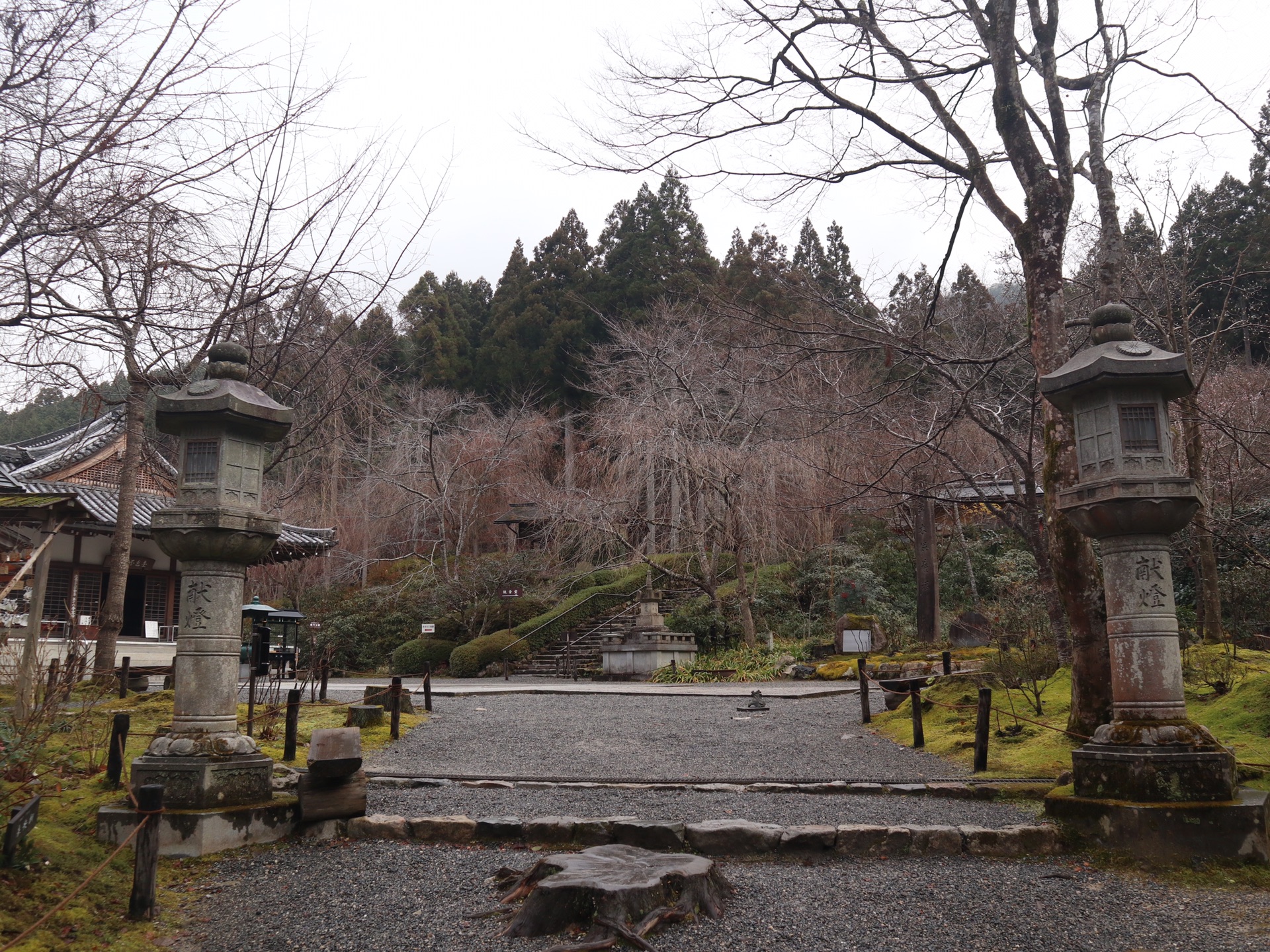 京都自助遊攻略