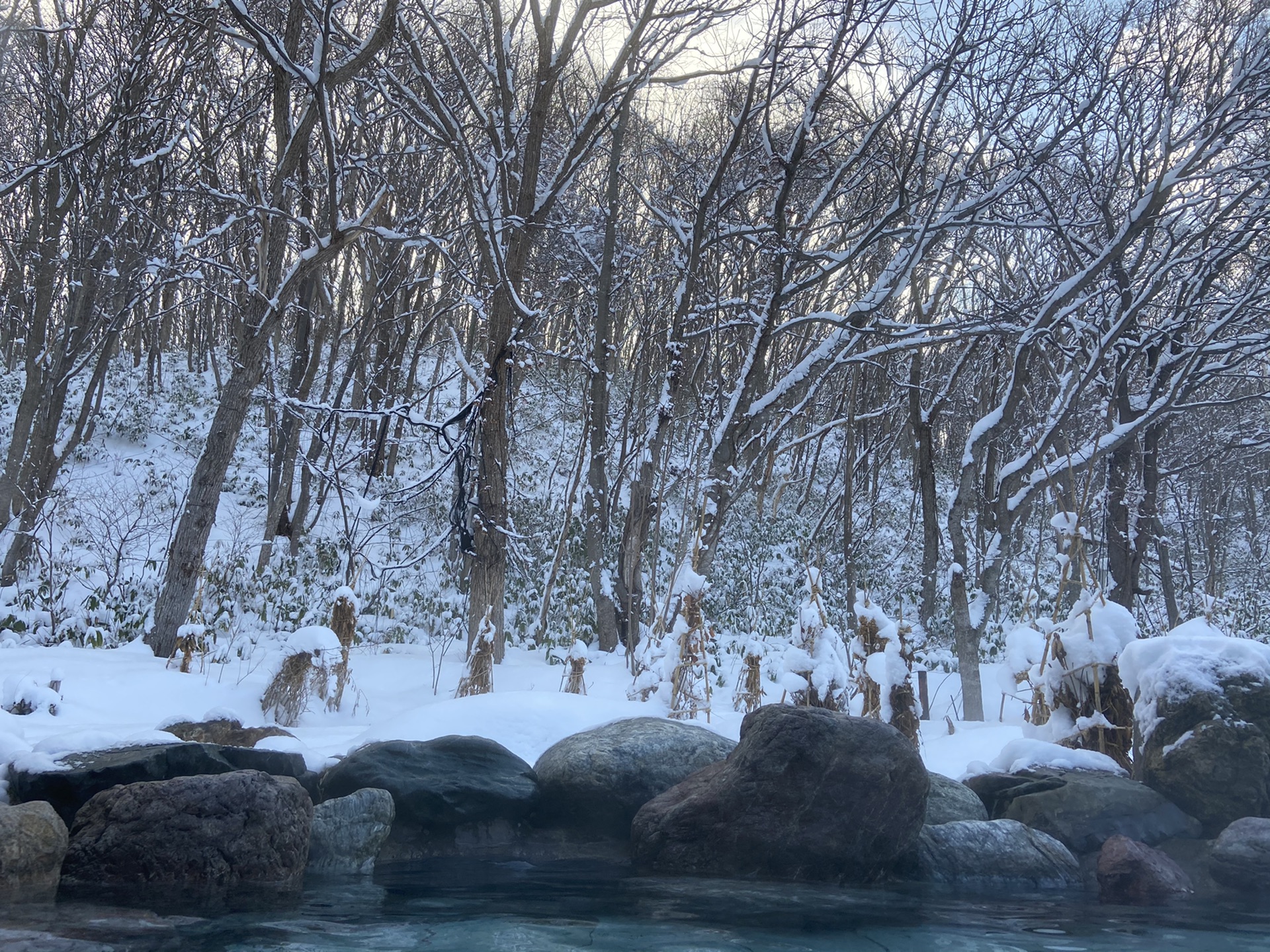 北海道自助遊攻略