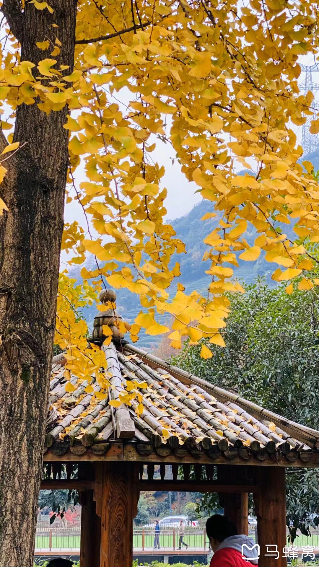 斑目餐厅▪小住