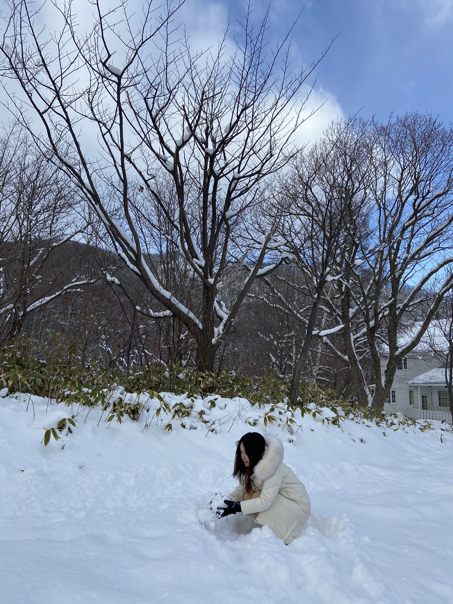 北海道自助遊攻略