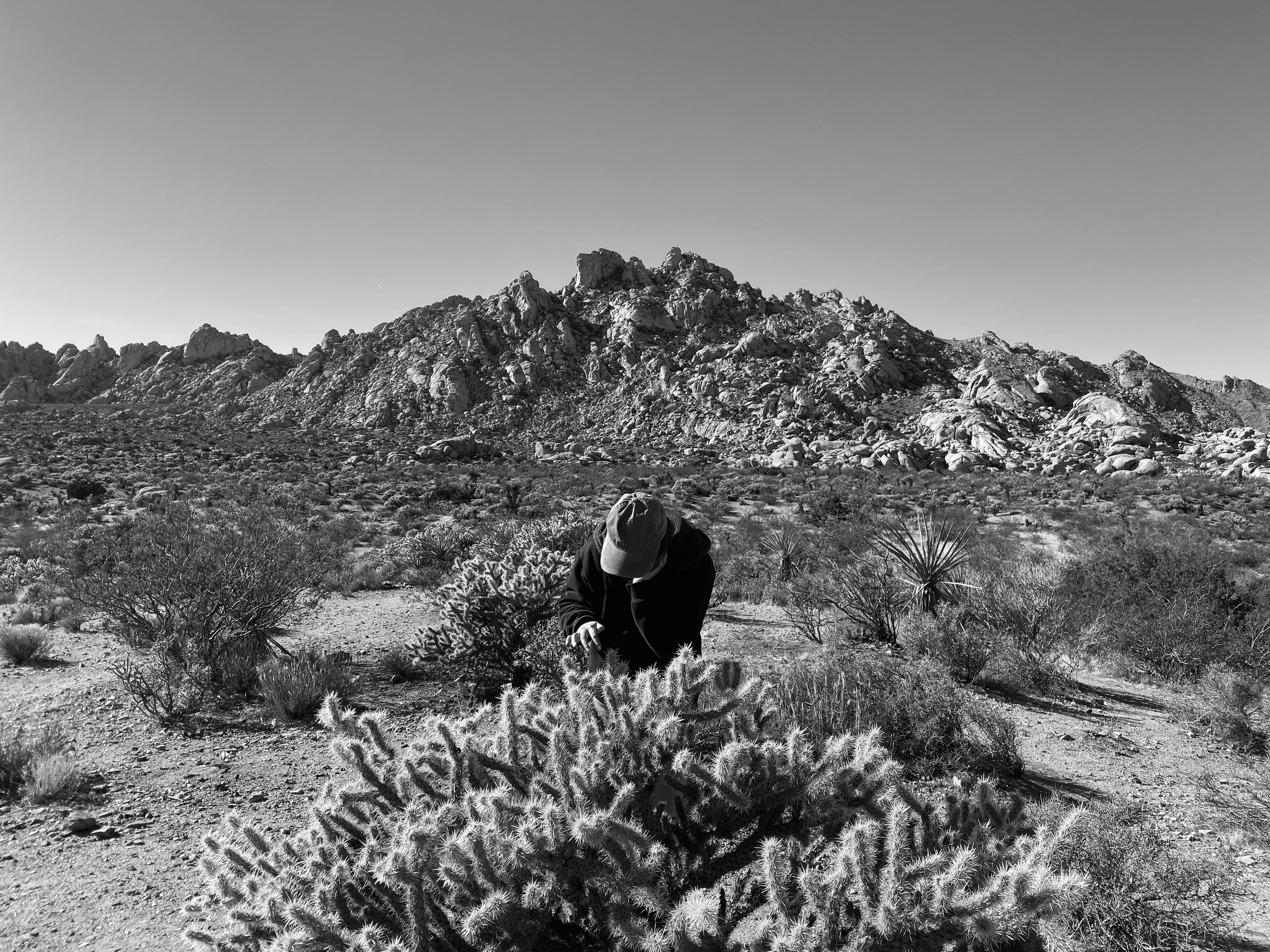 The Mojave Cross