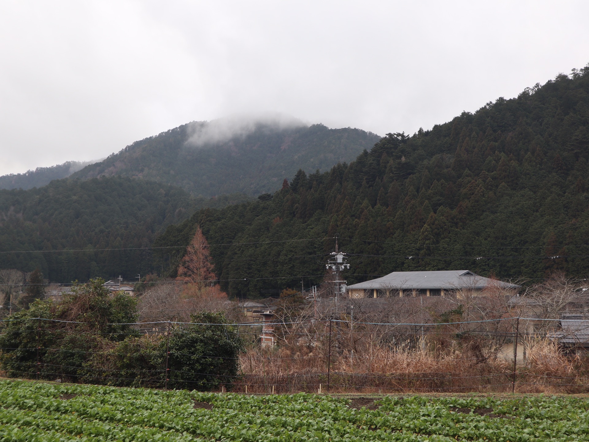 京都自助遊攻略