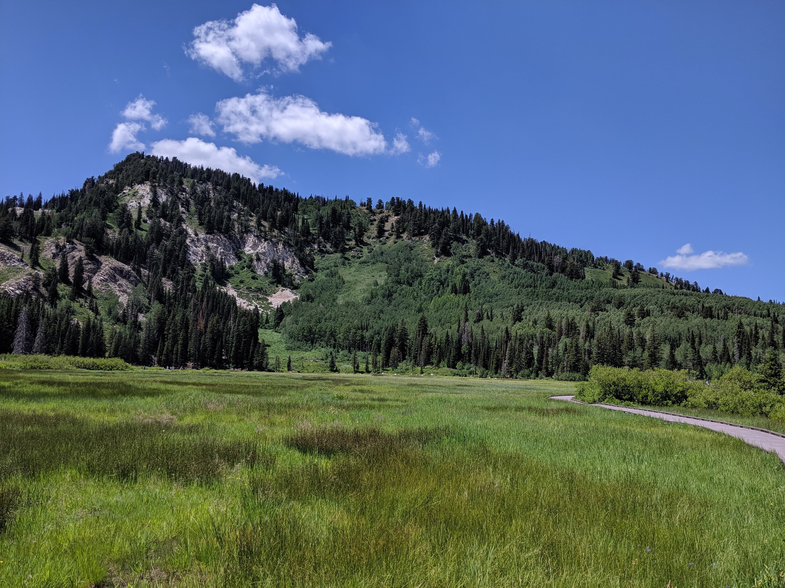 Wasatch-Cache National Forest