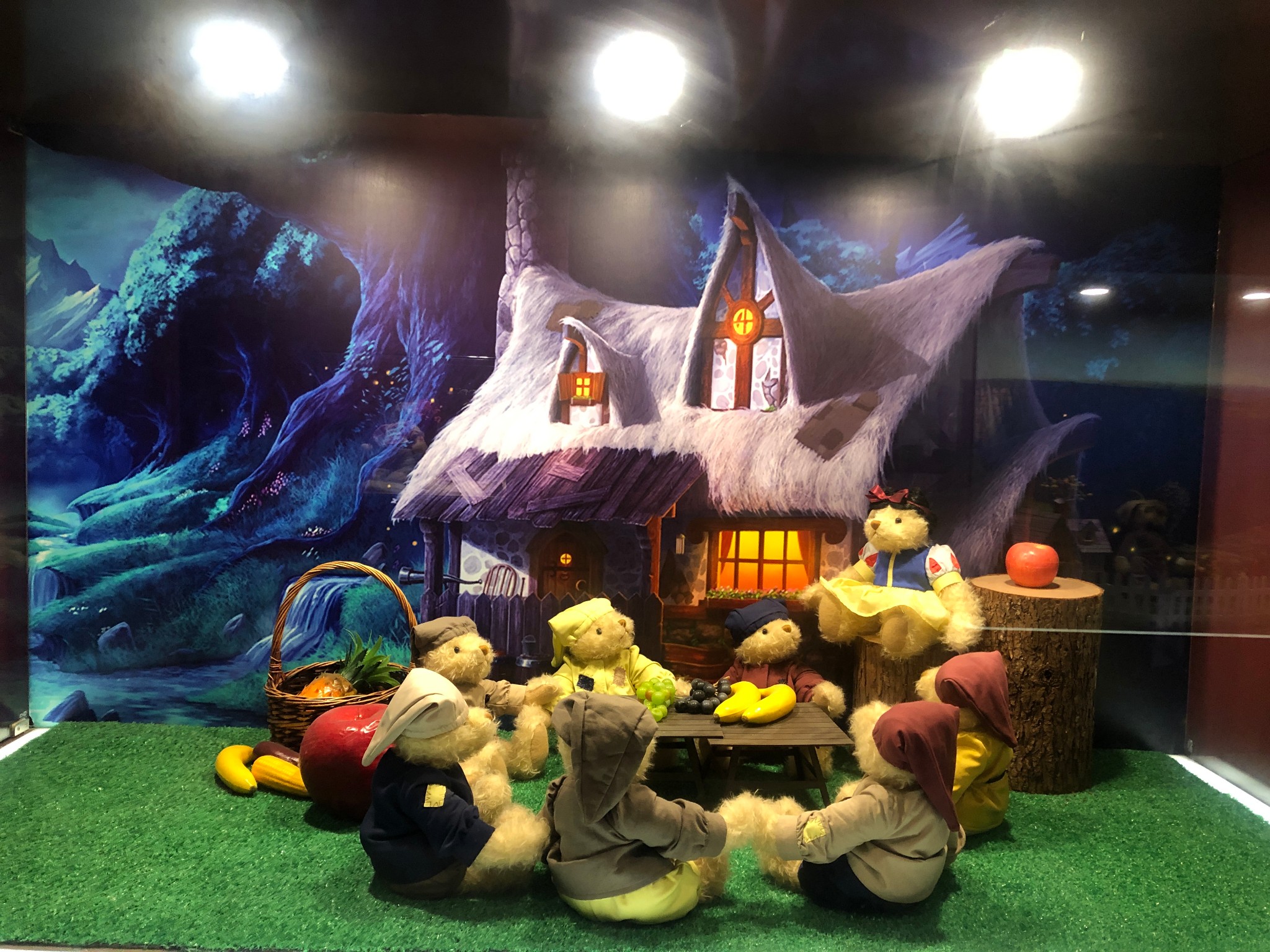 泰迪之家博物馆参观视觉日记