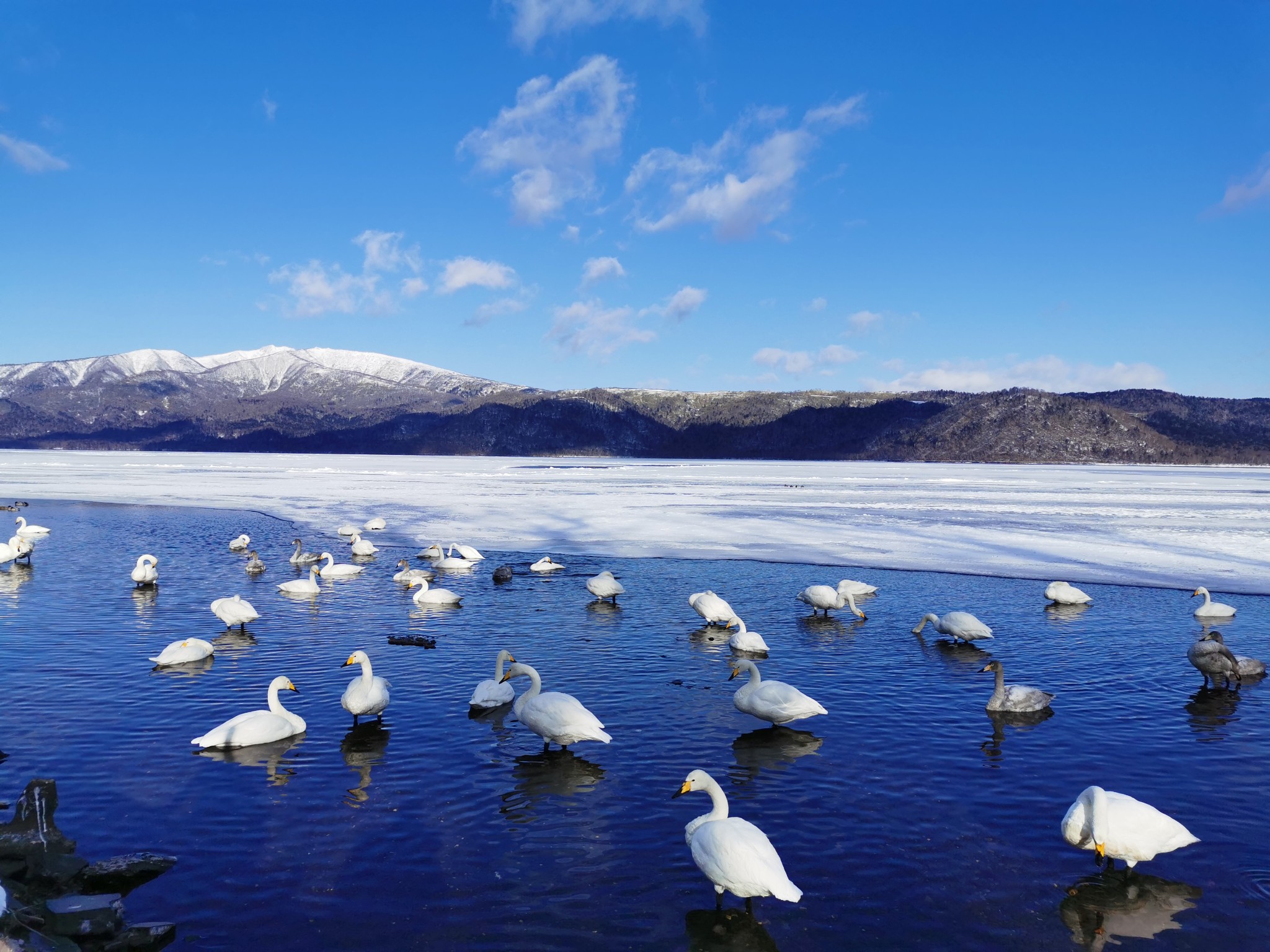 北海道自助遊攻略