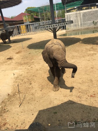 袋鼠馆旅游图片,袋鼠馆自助游图片,袋鼠馆旅游景点照片 - 马蜂窝图库