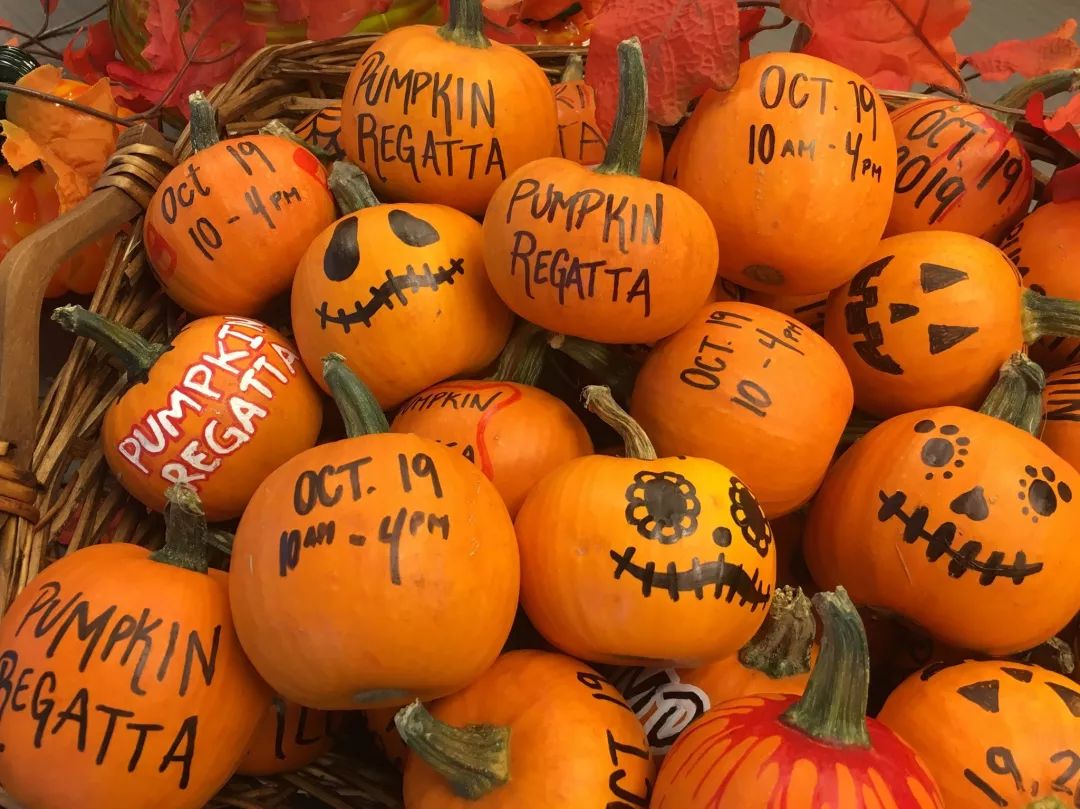 west coast giant pumpkin regatta划船是屡见不鲜了,但你见过划南瓜