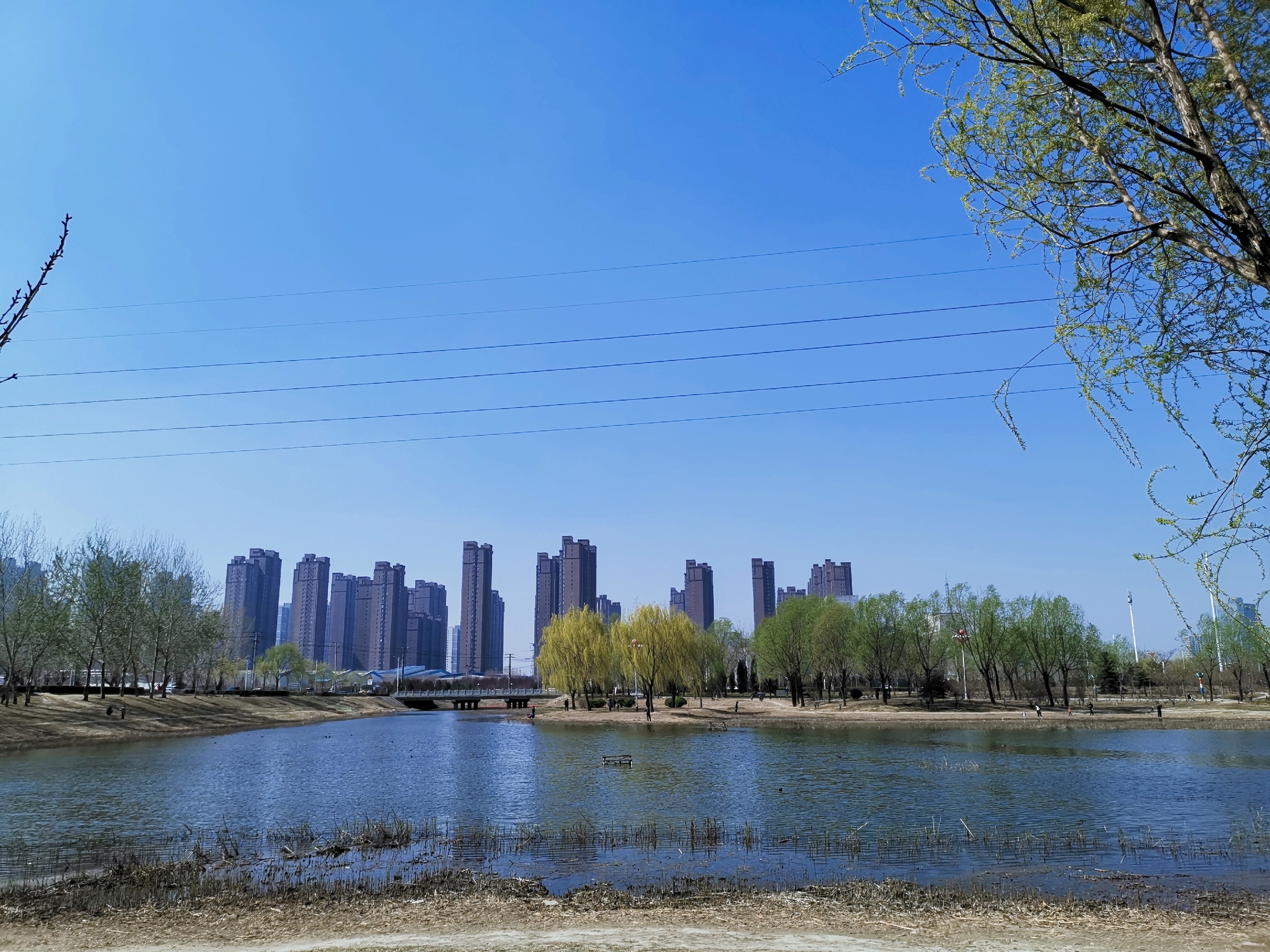 保定市北湖公园攻略,保定市北湖公园门票_地址,保定市北湖公园游览