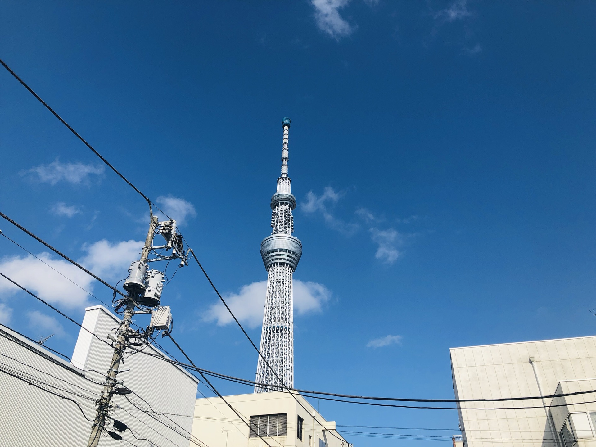 東京自助遊攻略