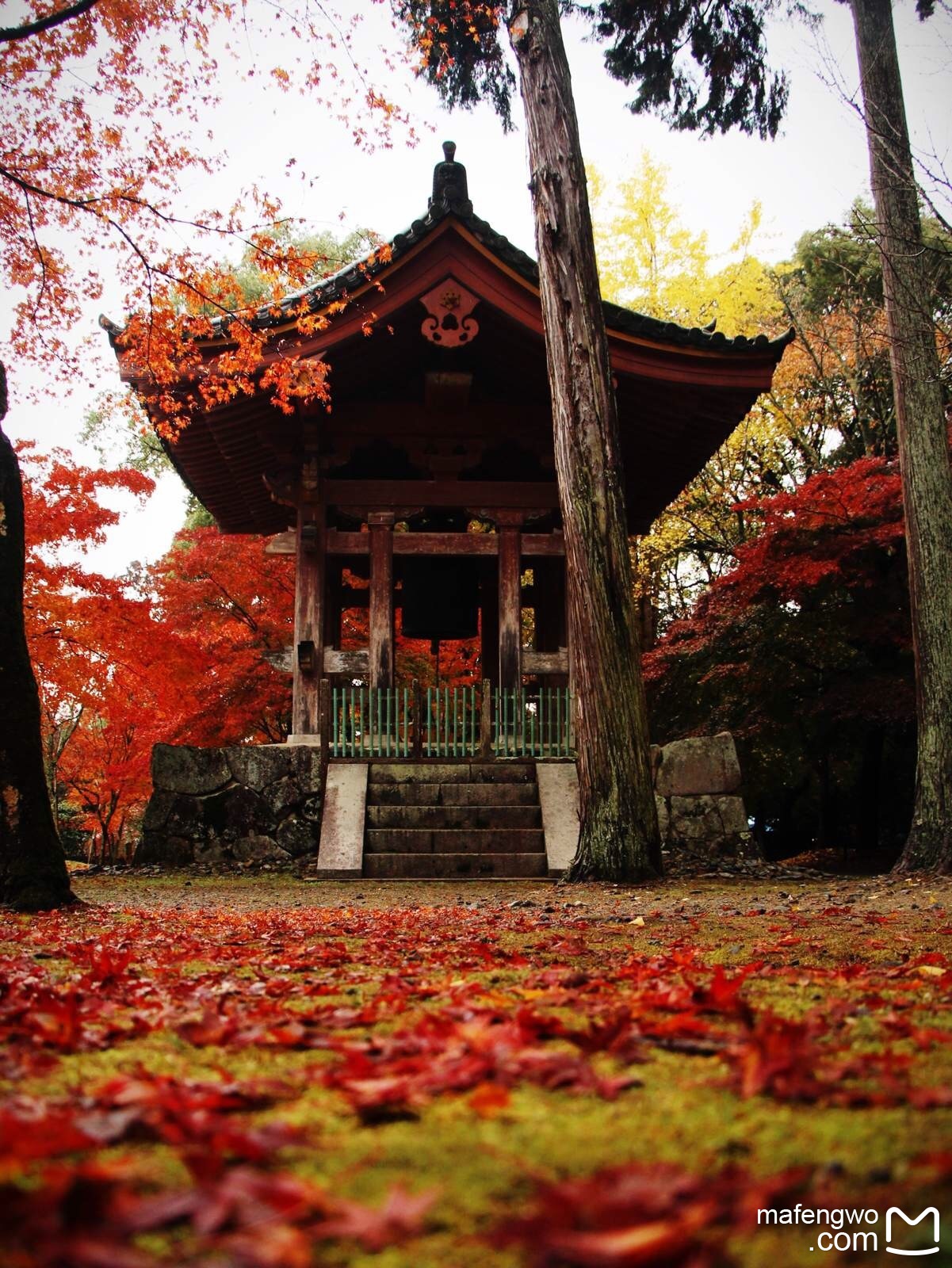 京都自助遊攻略