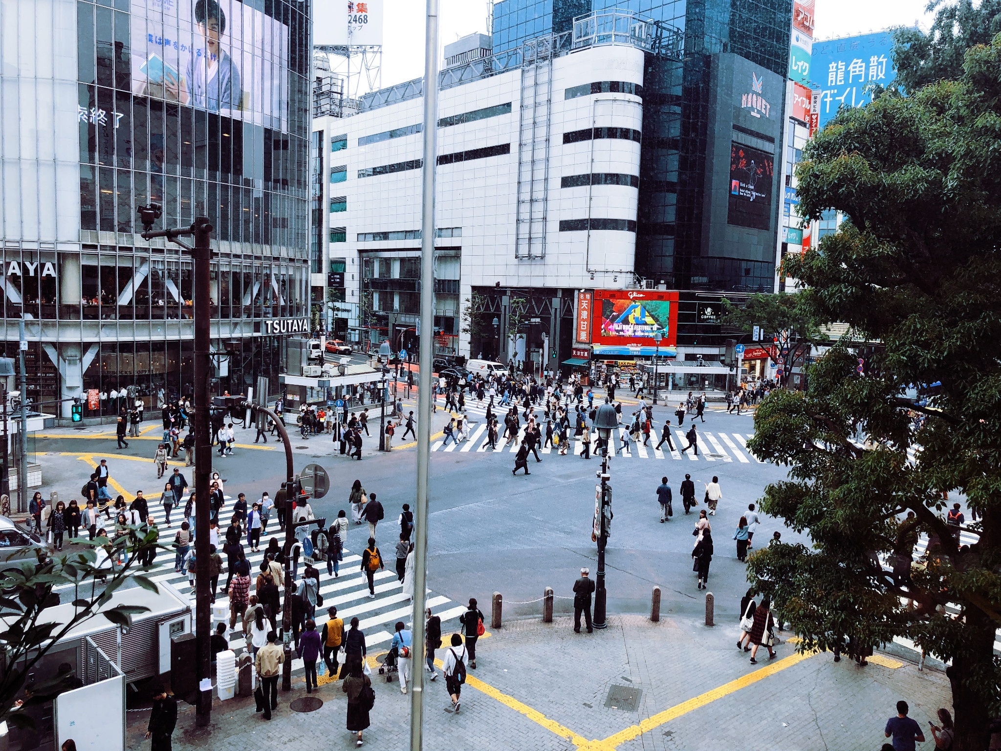 東京自助遊攻略