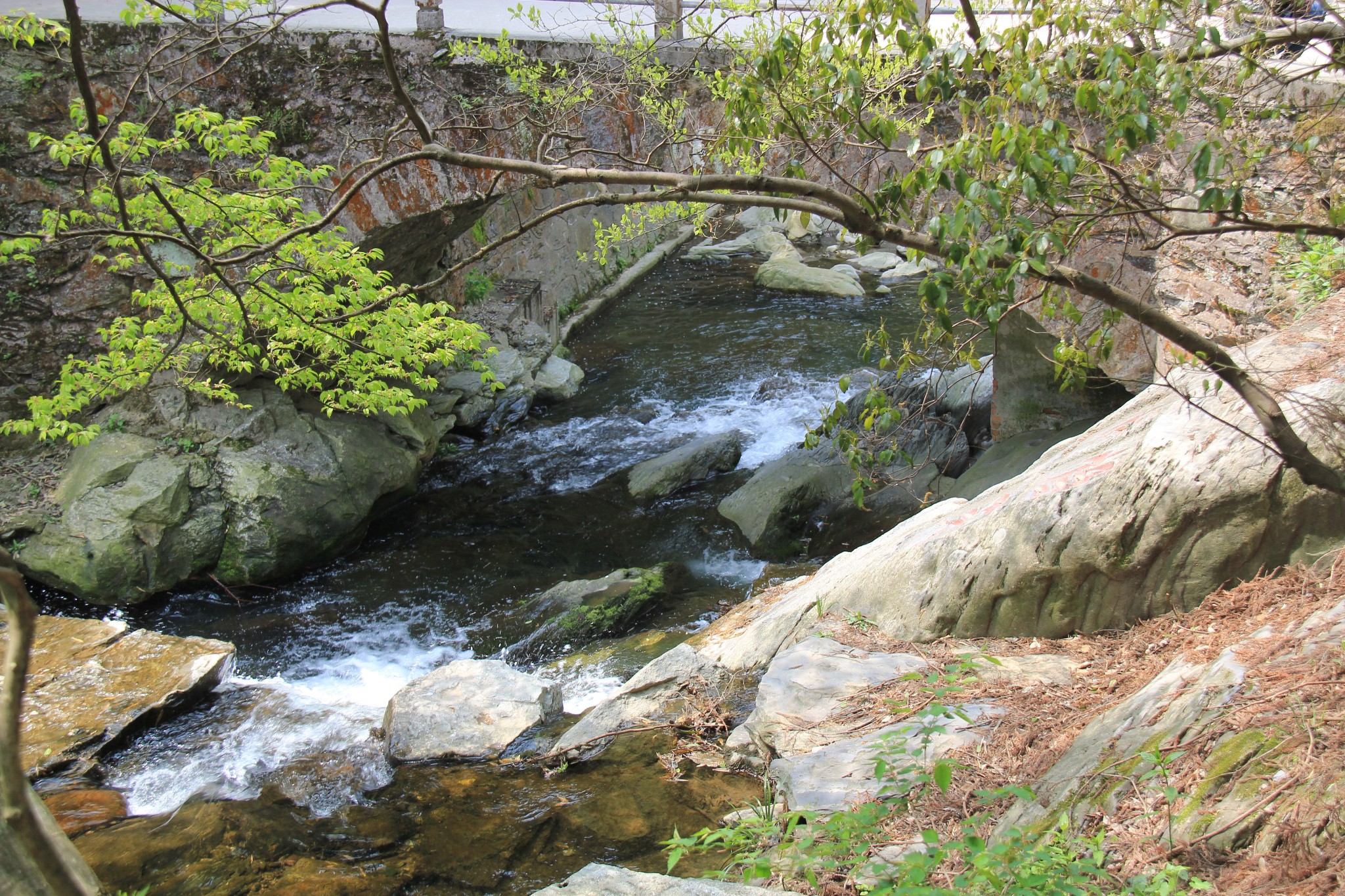 江西9|廬山——蘆林湖,黃龍寺,黃龍潭,烏龍潭