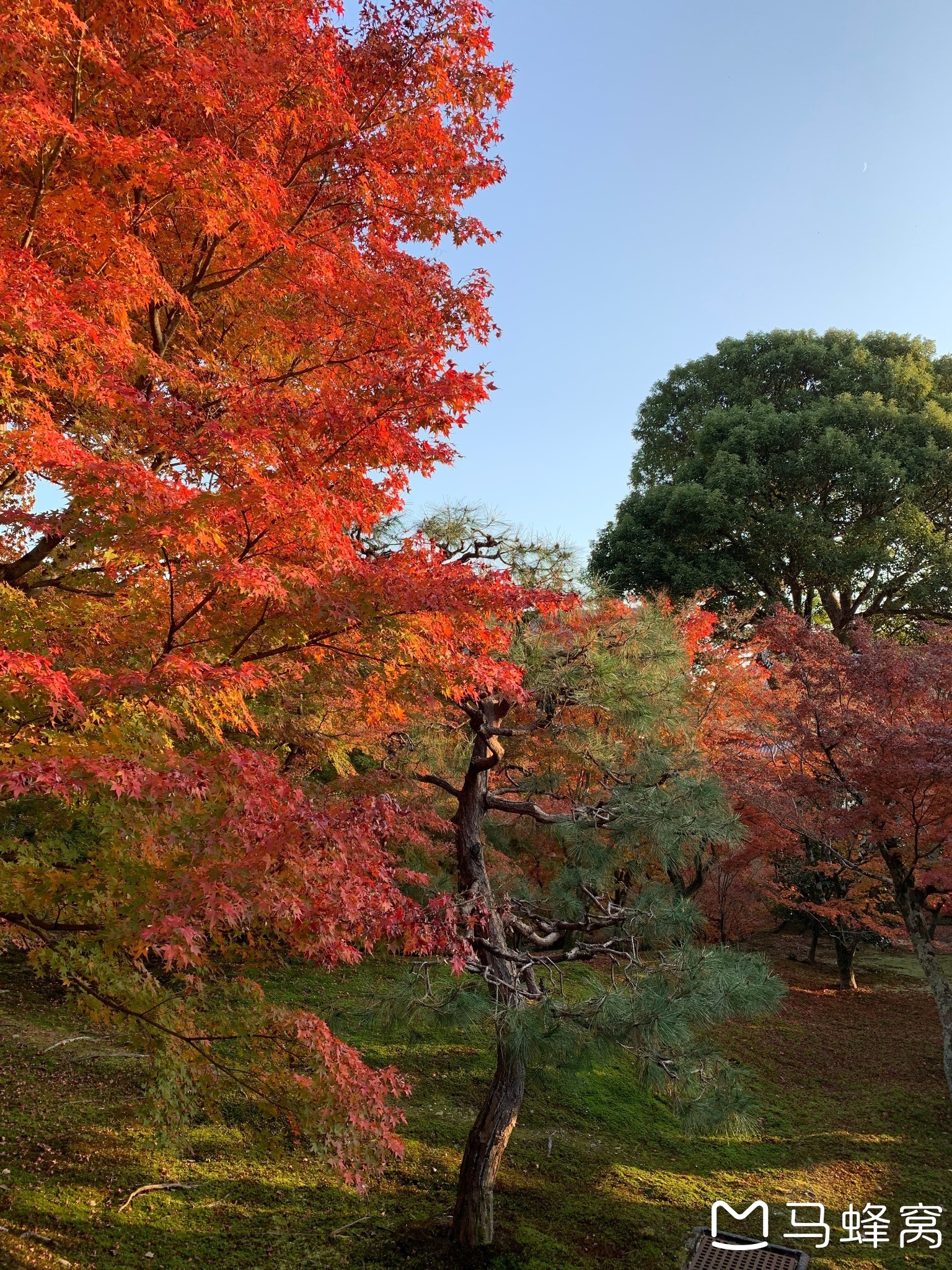 京都自助遊攻略