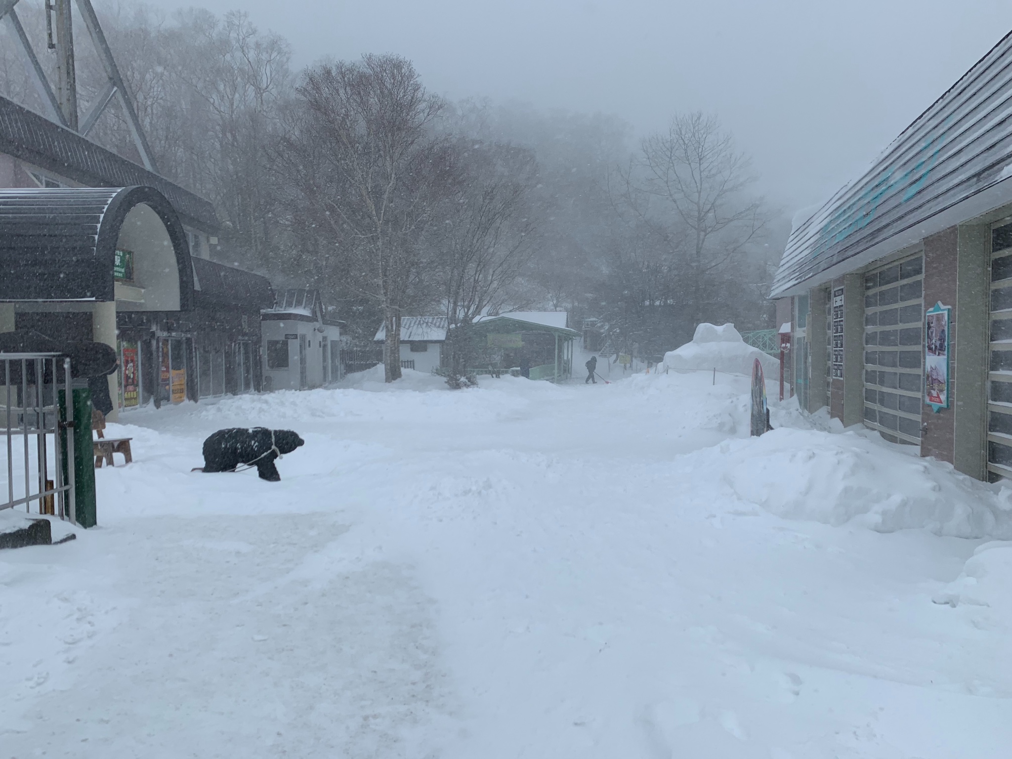 北海道自助遊攻略