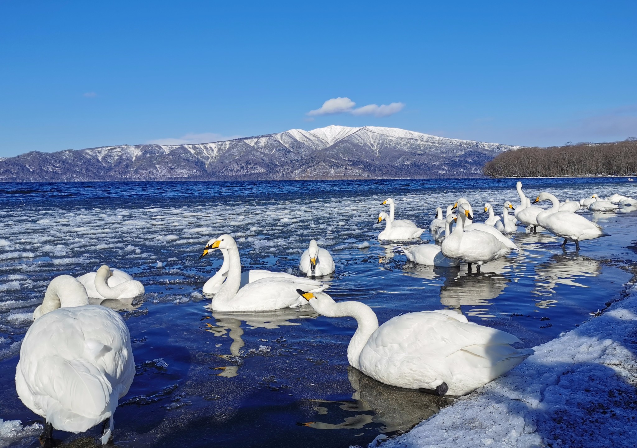 北海道自助遊攻略