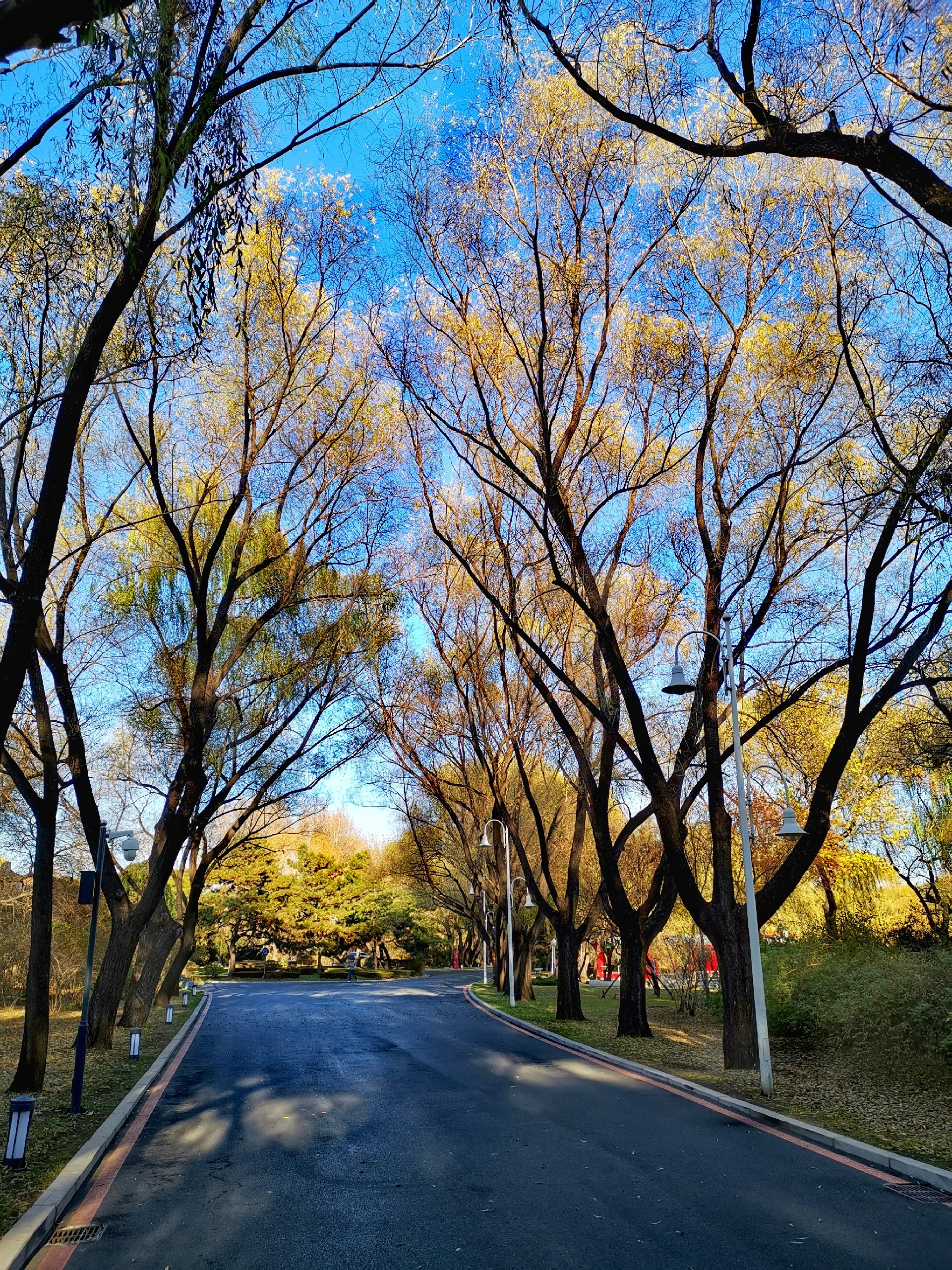 辽宁友谊宾馆茗湖轩自助餐厅