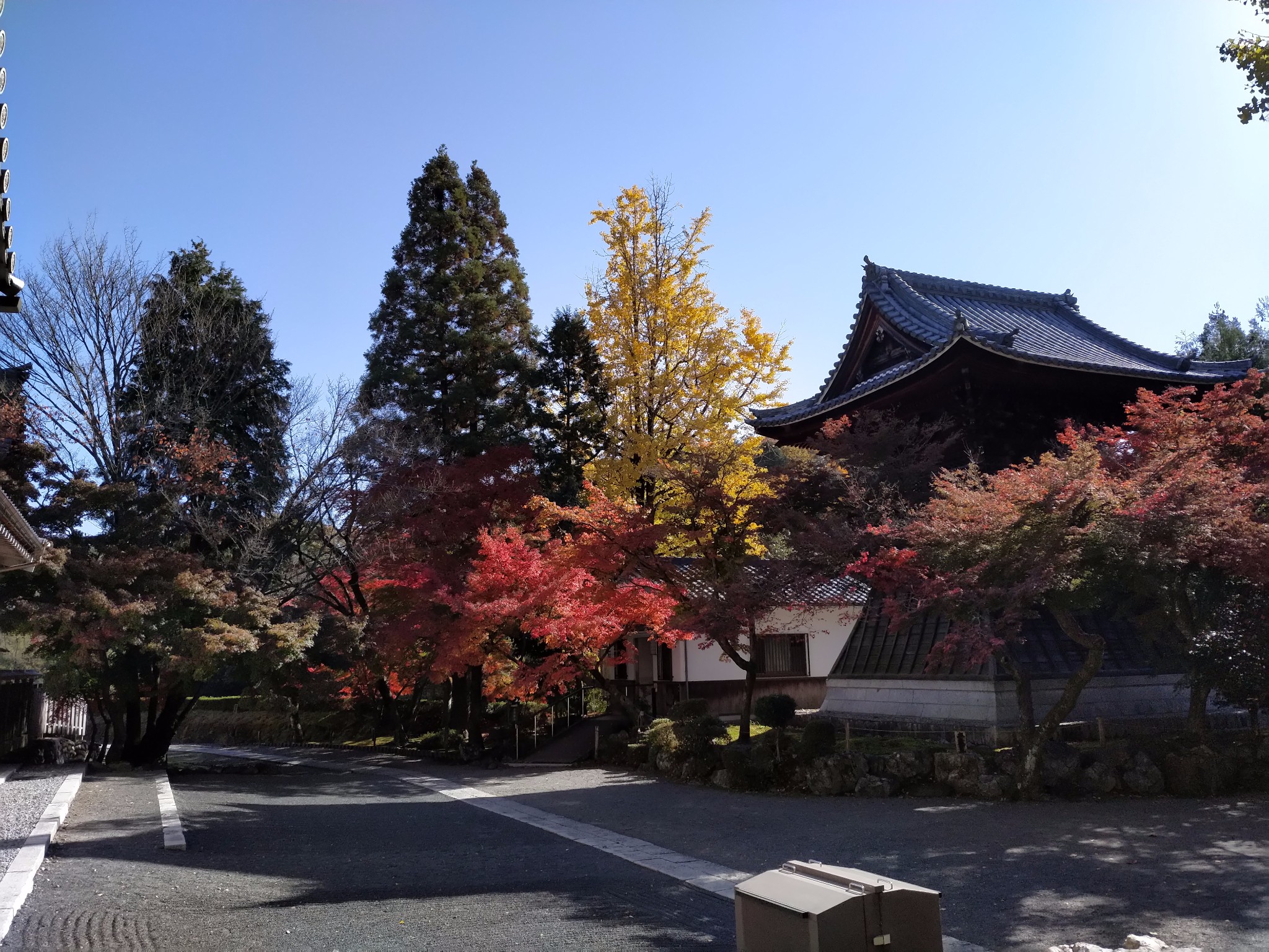 名古屋自助遊攻略