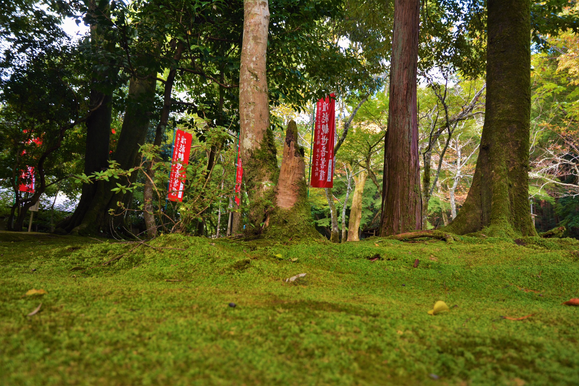 京都自助遊攻略