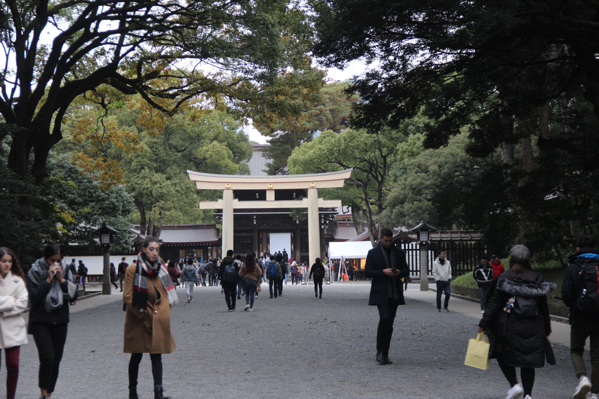 東京自助遊攻略