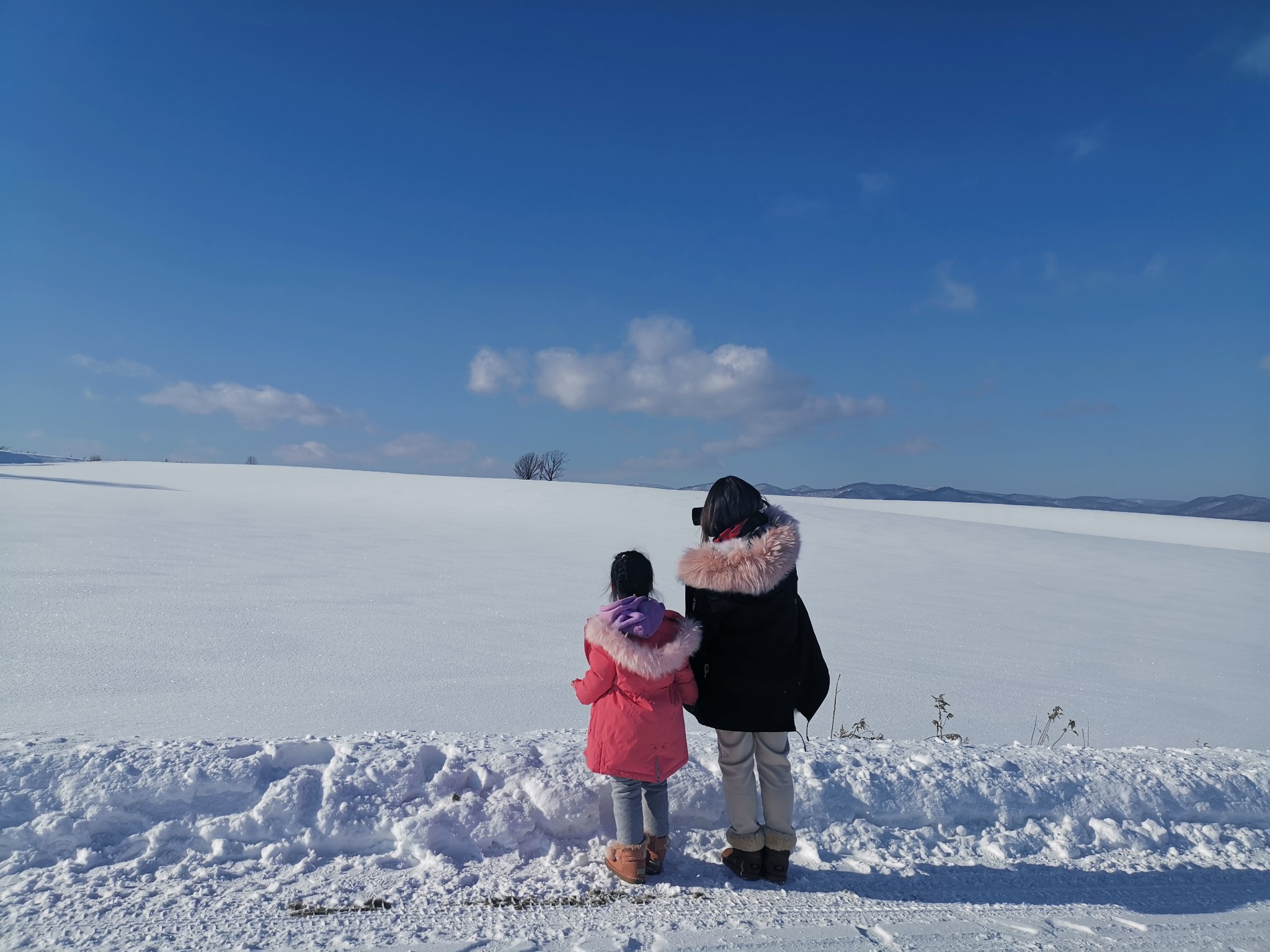 北海道自助遊攻略