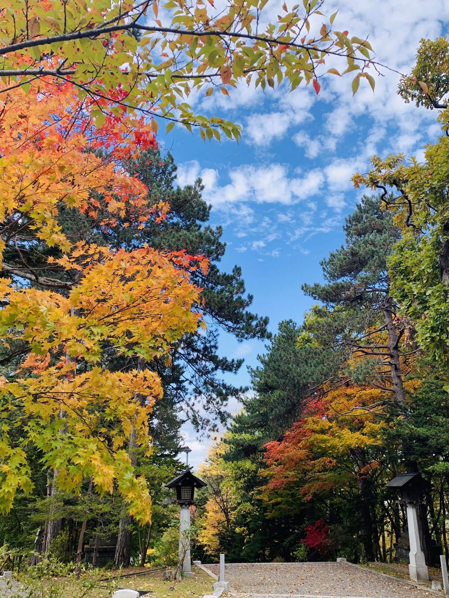 北海道自助遊攻略