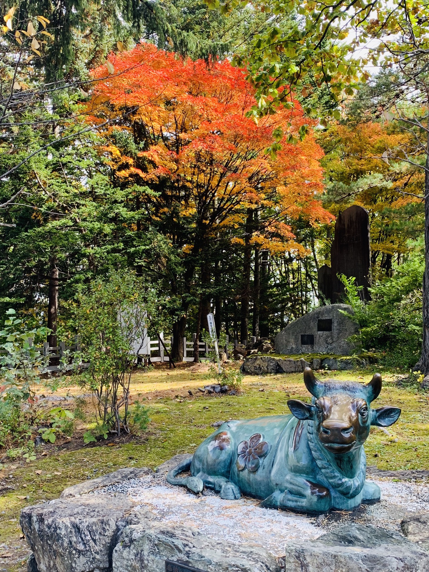 北海道自助遊攻略