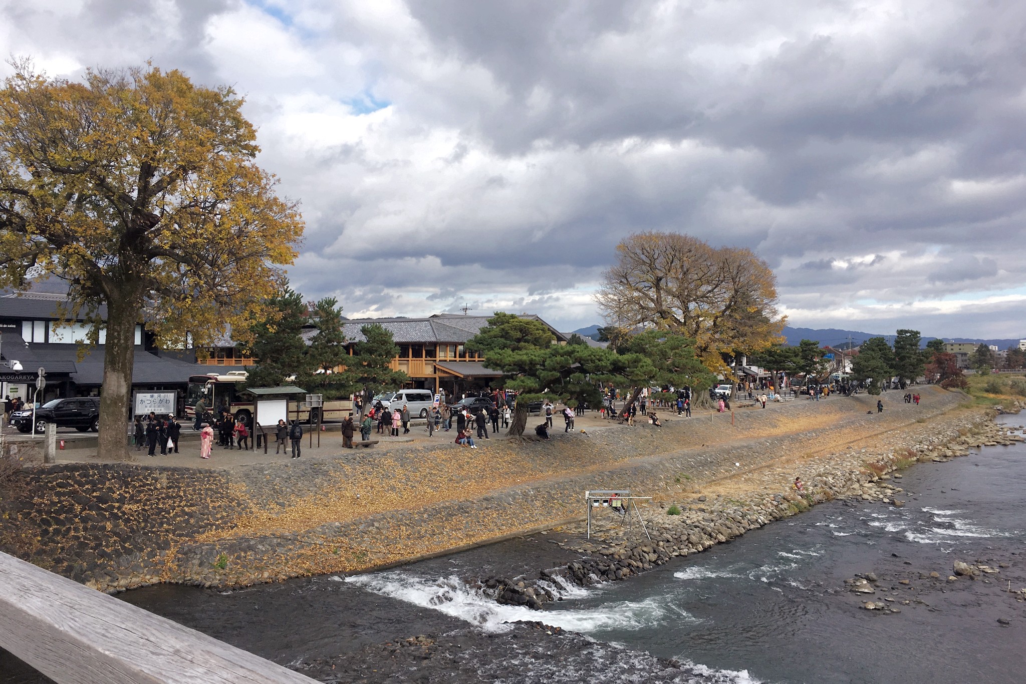 京都自助遊攻略