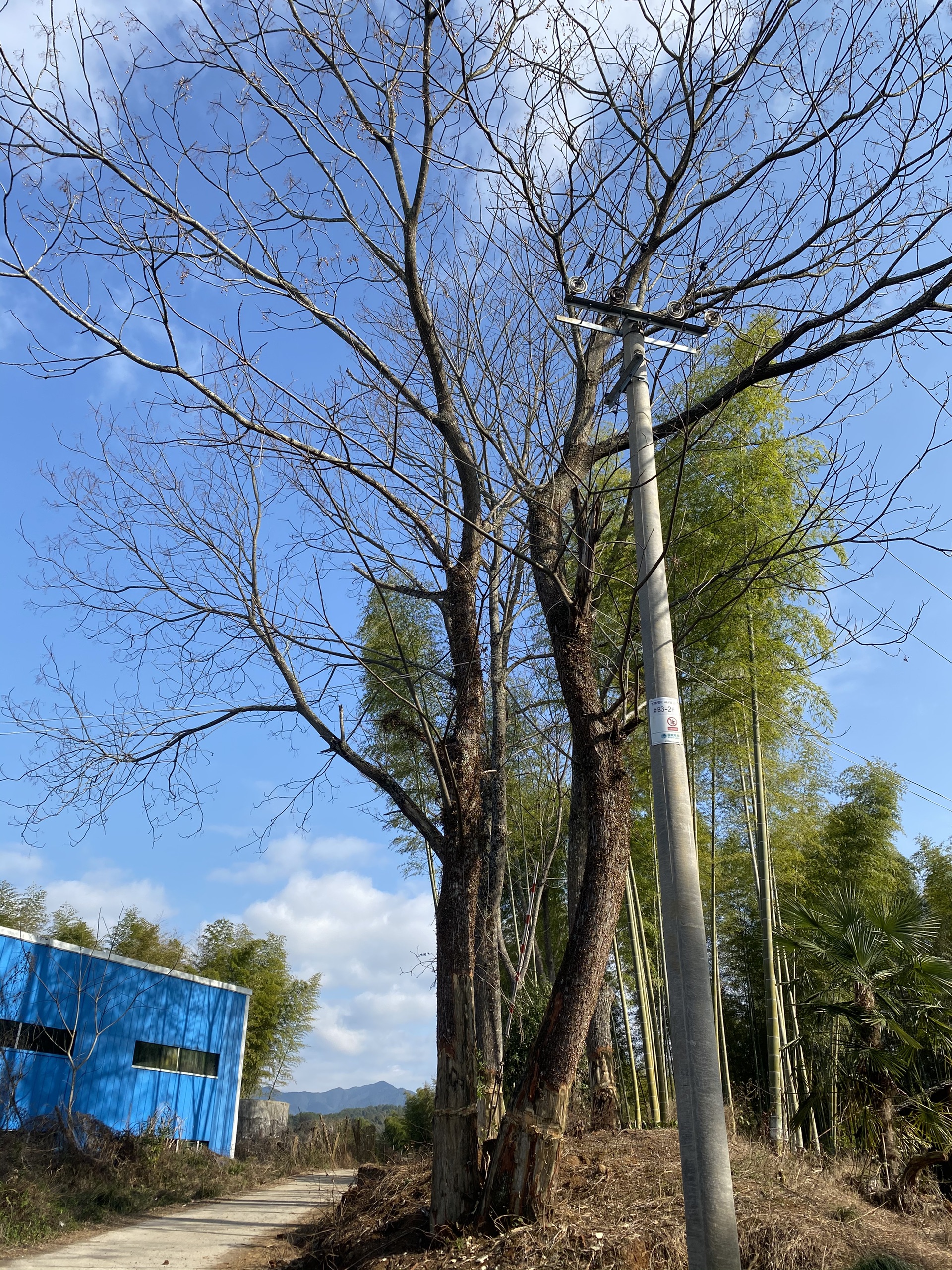 【宁化景点图片】宁化长征集结出发地