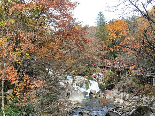 2019秋遊光霧山,巴中旅遊攻略 - 馬蜂窩