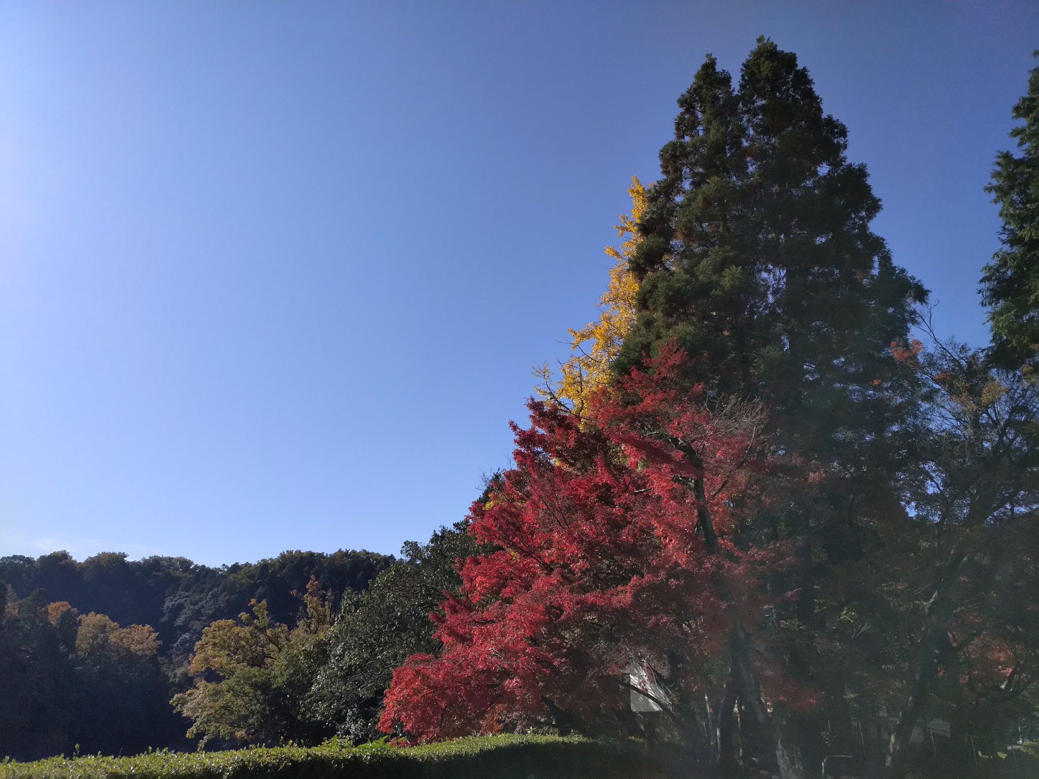 名古屋自助遊攻略