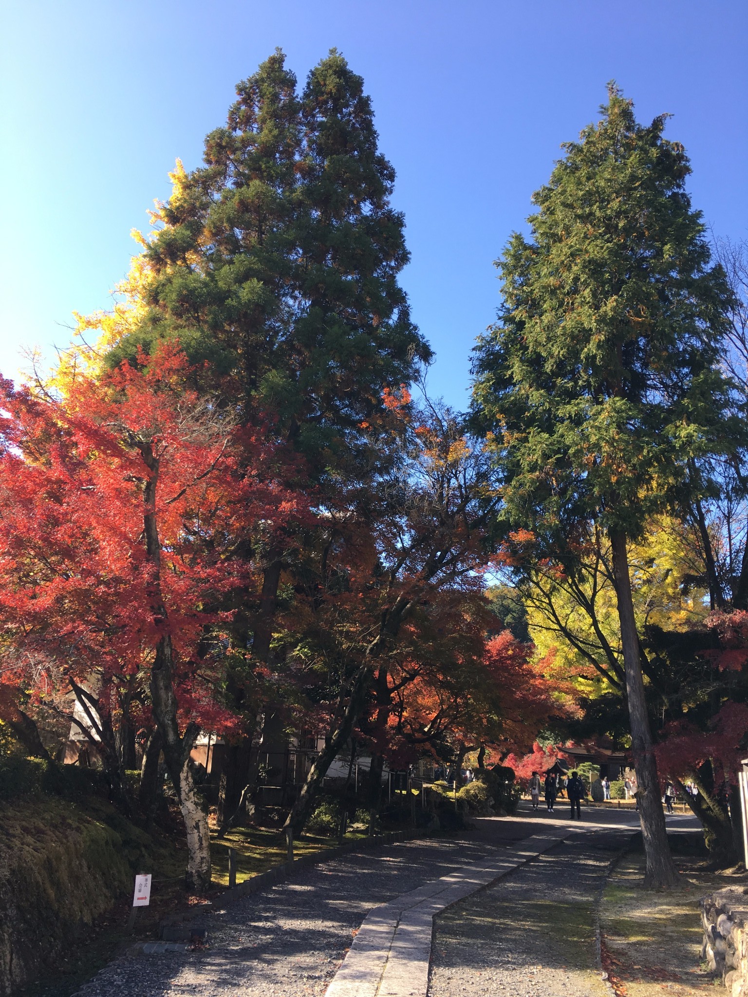 名古屋自助遊攻略