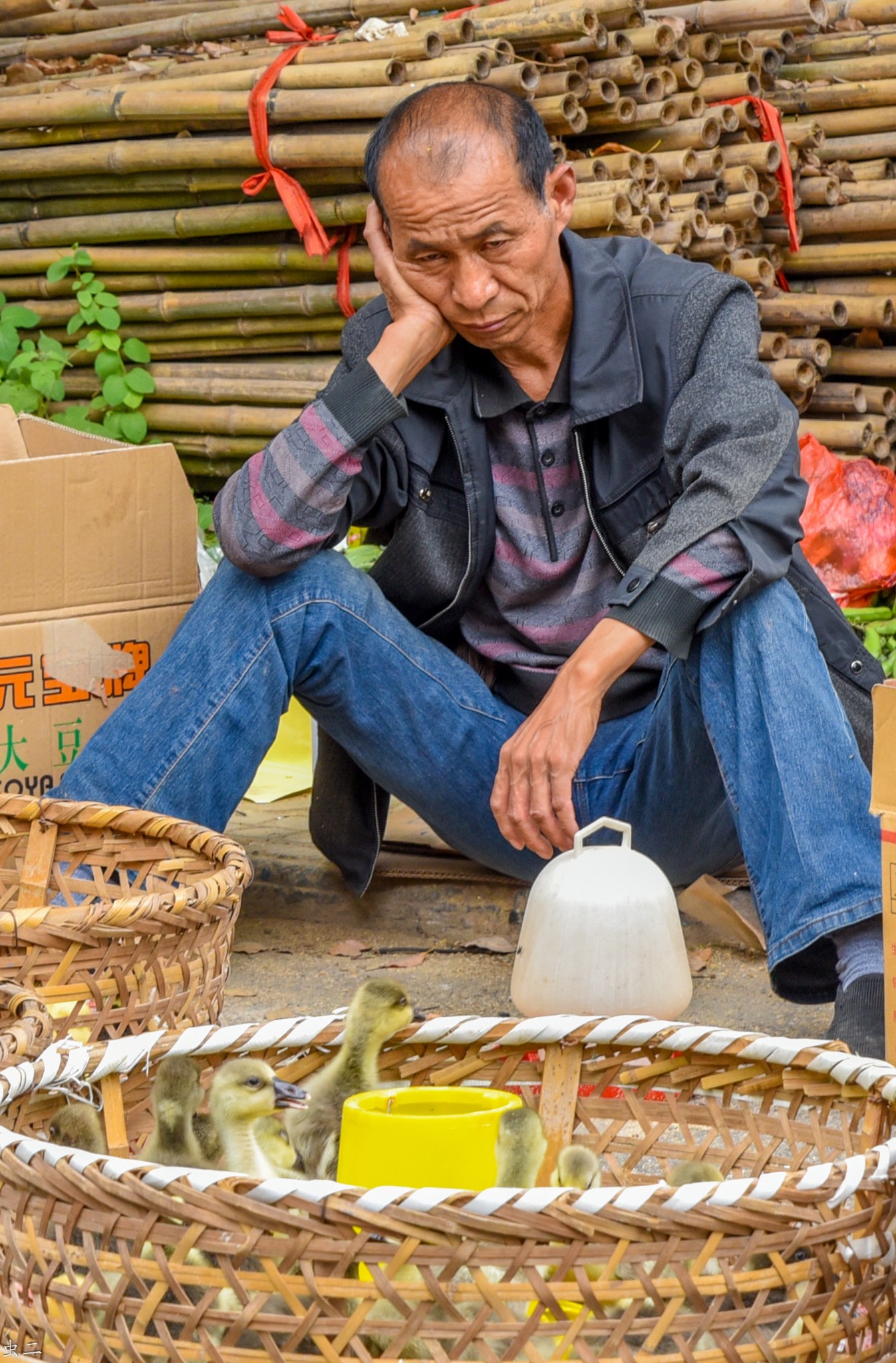 镇江 宝堰古镇 太平桥 市保 古桥迷踪