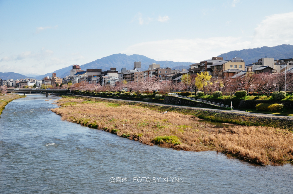 京都自助遊攻略