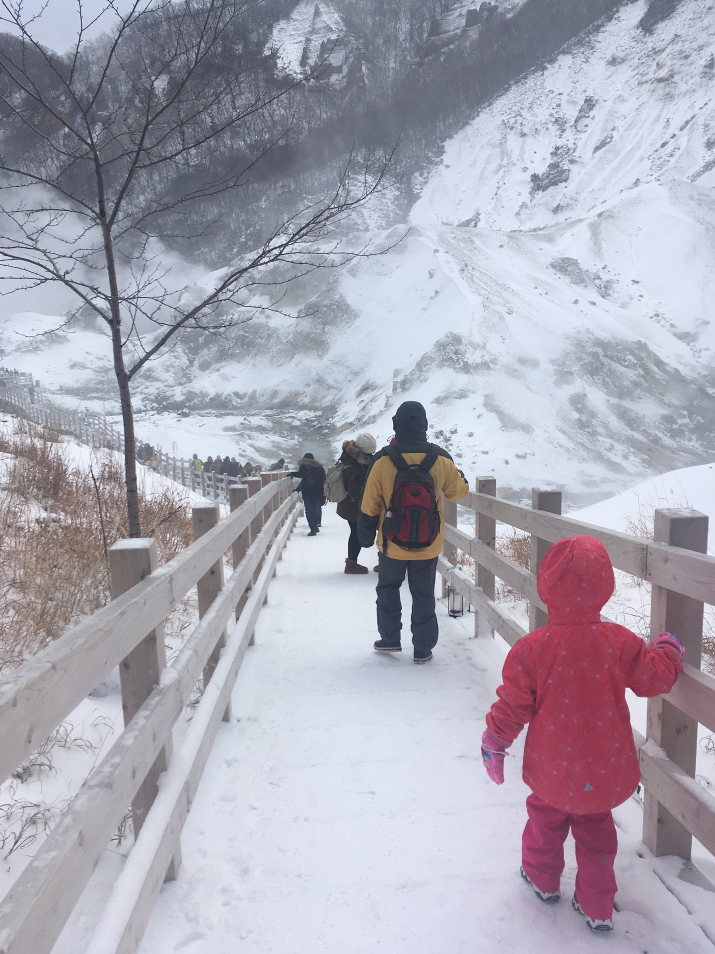 北海道自助遊攻略