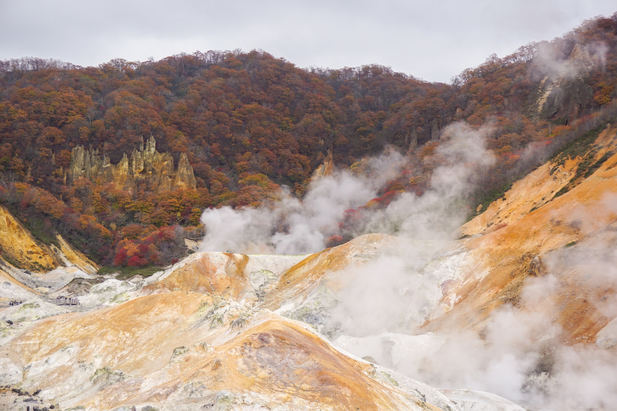 北海道自助遊攻略