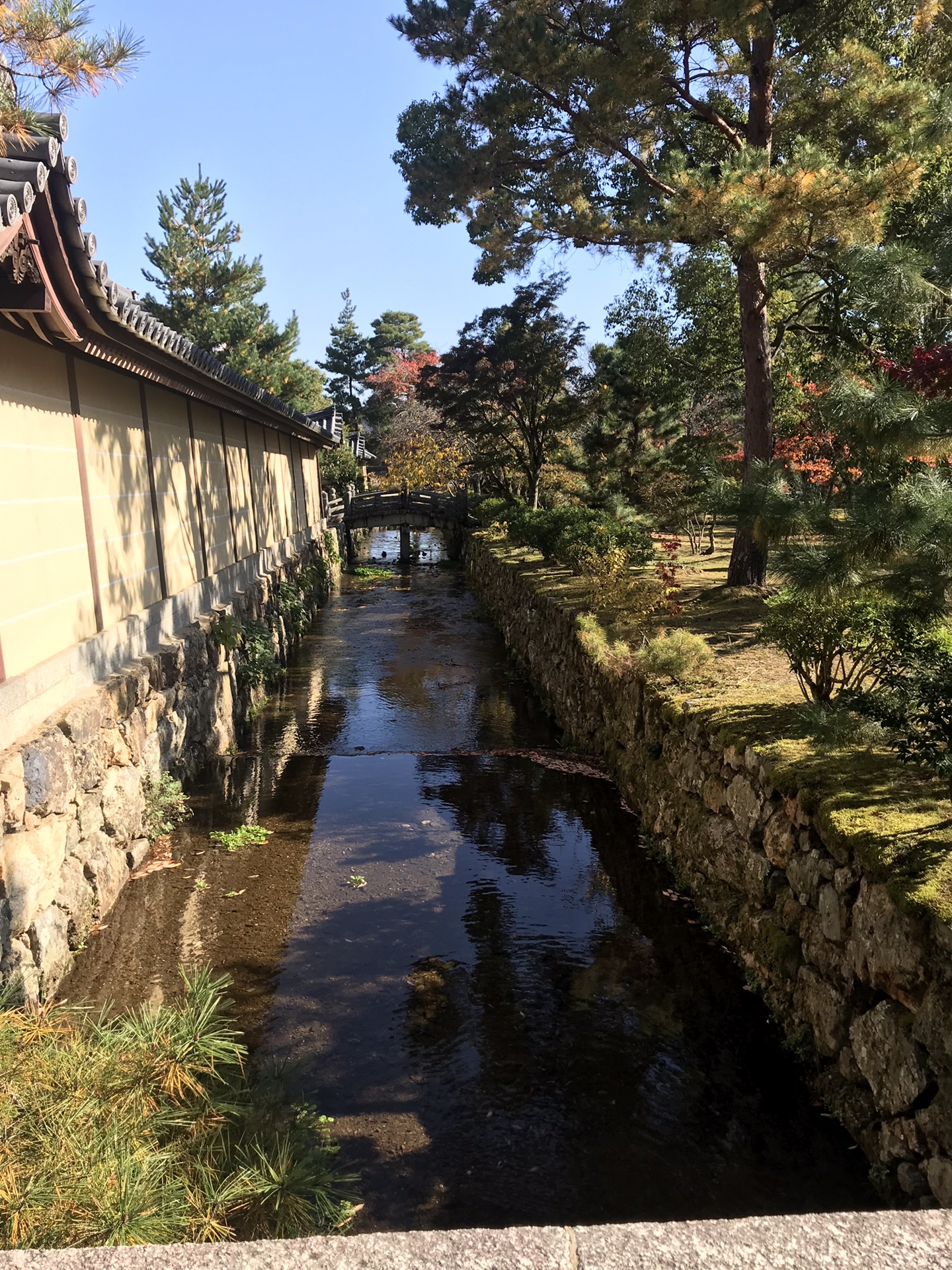 東京自助遊攻略