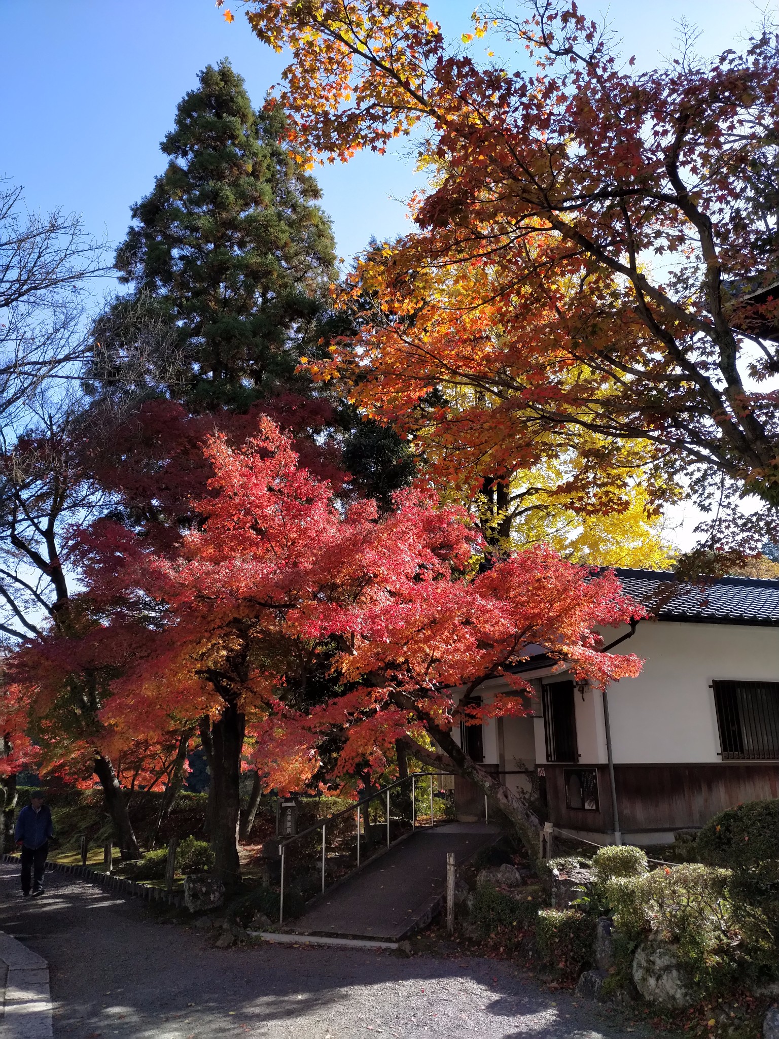 名古屋自助遊攻略