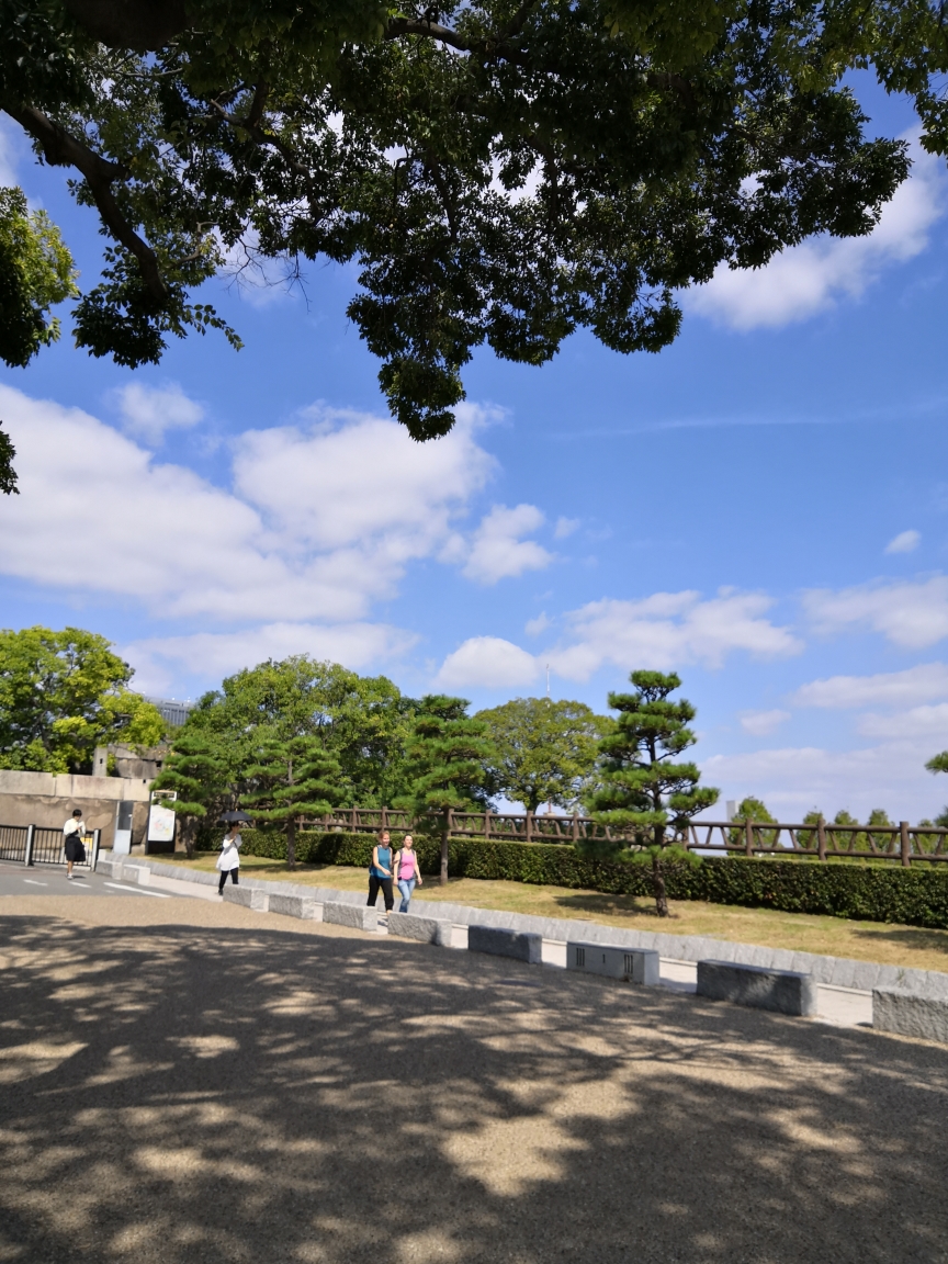 京都自助遊攻略