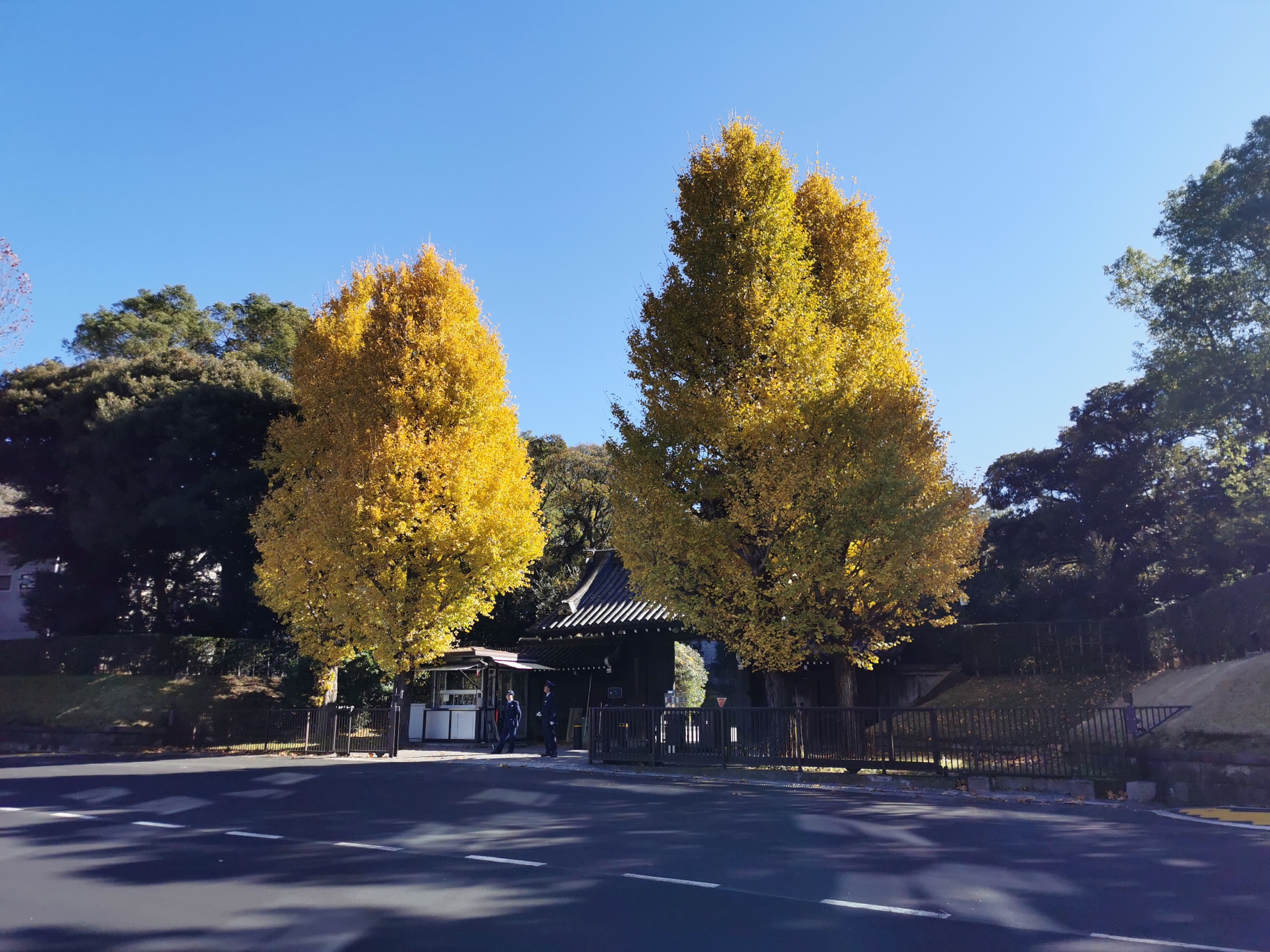 東京自助遊攻略