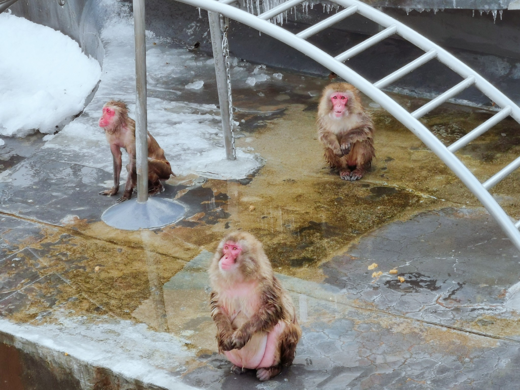 北海道自助遊攻略