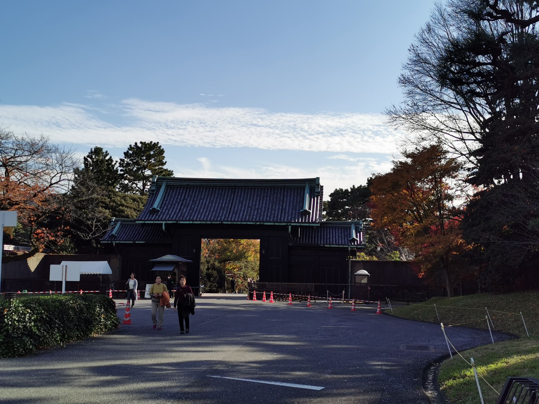 東京自助遊攻略