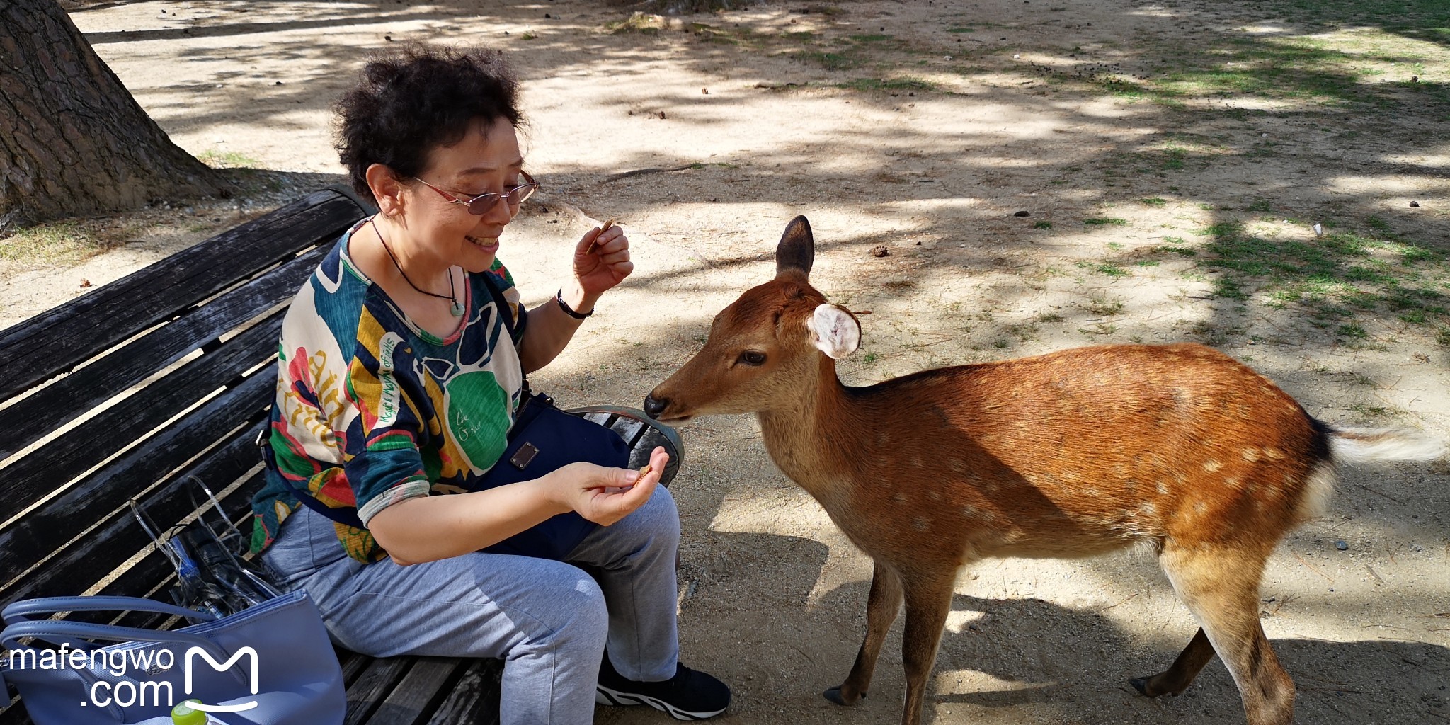 京都自助遊攻略